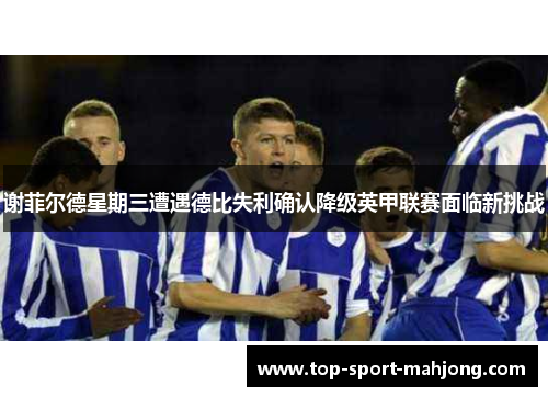 谢菲尔德星期三遭遇德比失利确认降级英甲联赛面临新挑战